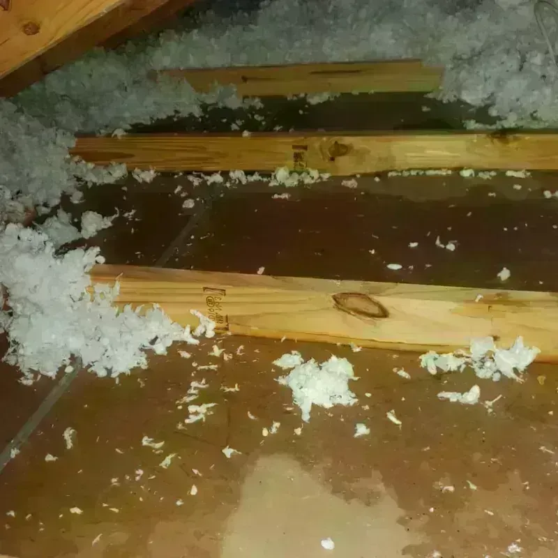 Attic Water Damage in West Hills, PA